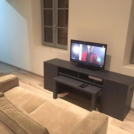 Appartement Touristique, Proche De La Cathedrale Albi Eksteriør billede