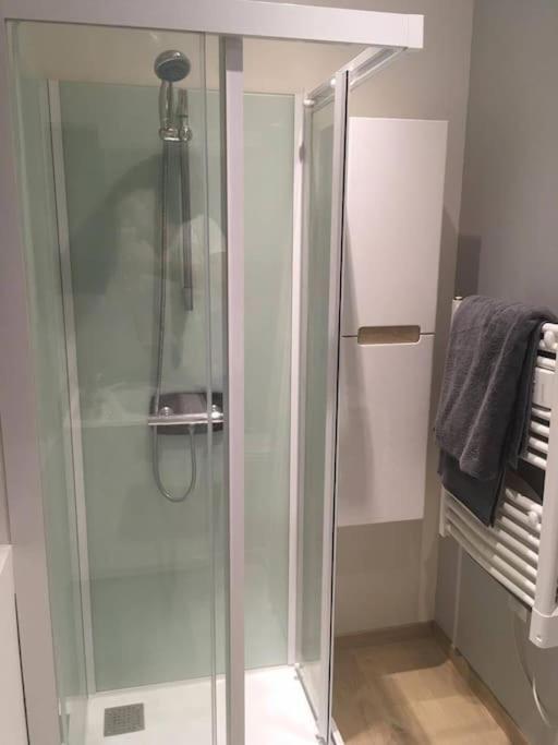 Appartement Touristique, Proche De La Cathedrale Albi Eksteriør billede