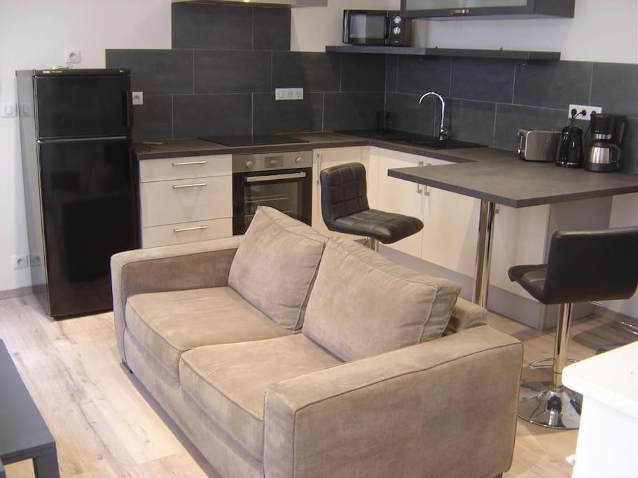 Appartement Touristique, Proche De La Cathedrale Albi Eksteriør billede